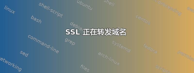 SSL 正在转发域名