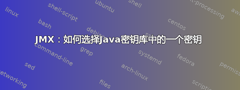 JMX：如何选择Java密钥库中的一个密钥