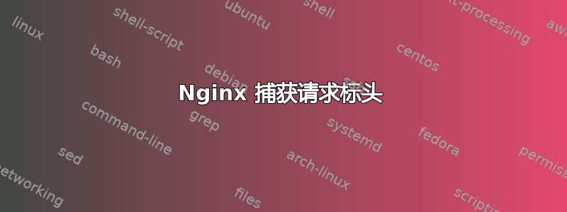 Nginx 捕获请求标头