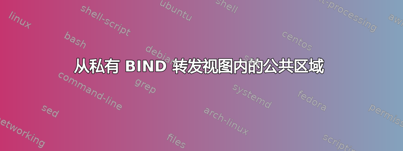 从私有 BIND 转发视图内的公共区域