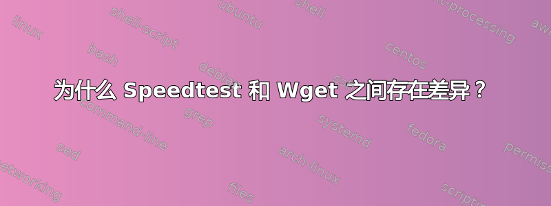 为什么 Speedtest 和 Wget 之间存在差异？