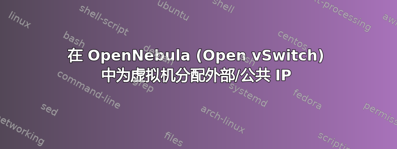 在 OpenNebula (Open vSwitch) 中为虚拟机分配外部/公共 IP