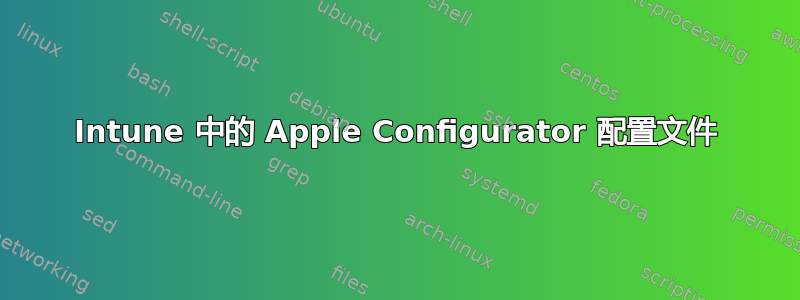 Intune 中的 Apple Configurator 配置文件