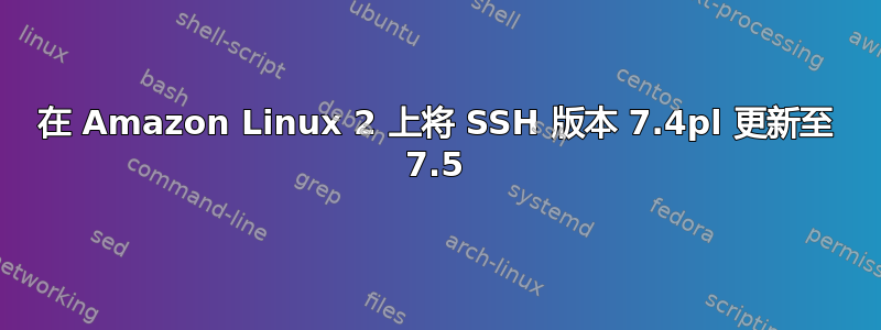 在 Amazon Linux 2 上将 SSH 版本 7.4pl 更新至 7.5