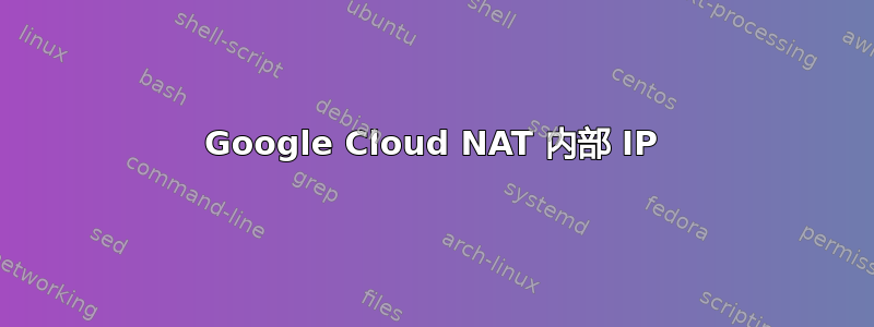 Google Cloud NAT 内部 IP