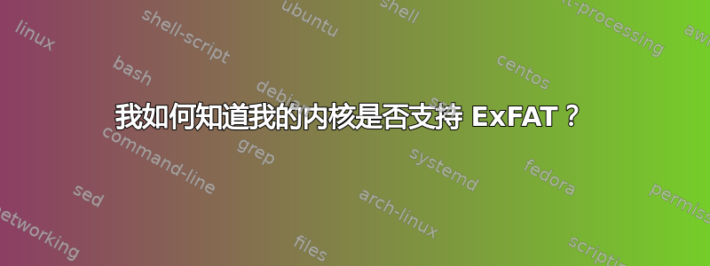 我如何知道我的内核是否支持 ExFAT？