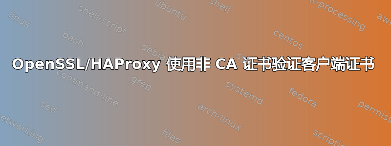 OpenSSL/HAProxy 使用非 CA 证书验证客户端证书