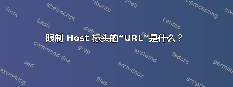 限制 Host 标头的“URL”是什么？