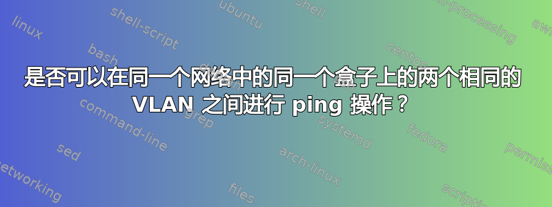 是否可以在同一个网络中的同一个盒子上的两个相同的 VLAN 之间进行 ping 操作？