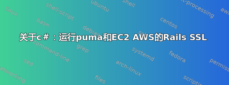 关于c＃：运行puma和EC2 AWS的Rails SSL