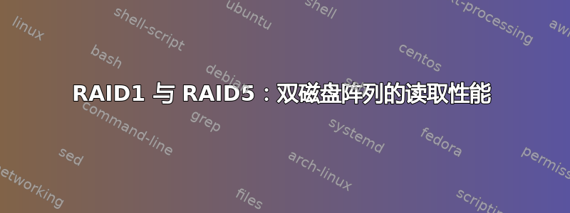 RAID1 与 RAID5：双磁盘阵列的读取性能