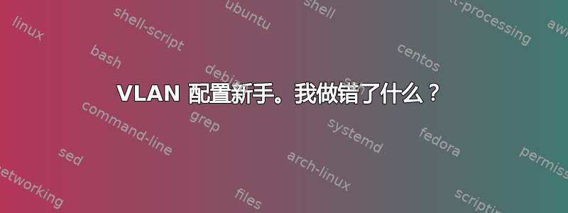 VLAN 配置新手。我做错了什么？