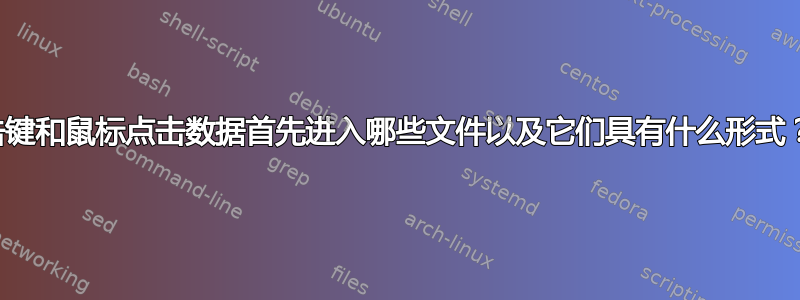 击键和鼠标点击数据首先进入哪些文件以及它们具有什么形式？