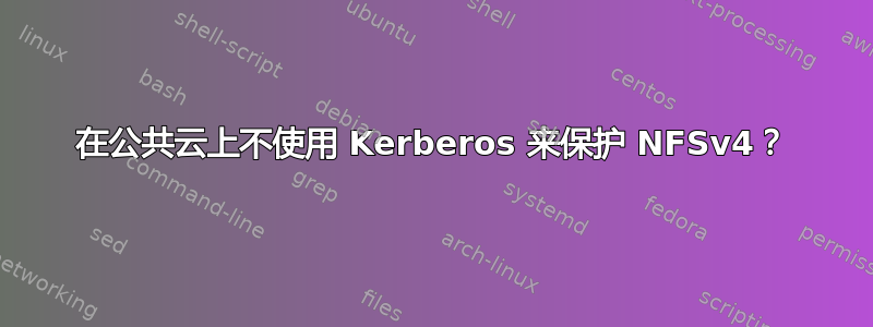 在公共云上不使用 Kerberos 来保护 NFSv4？