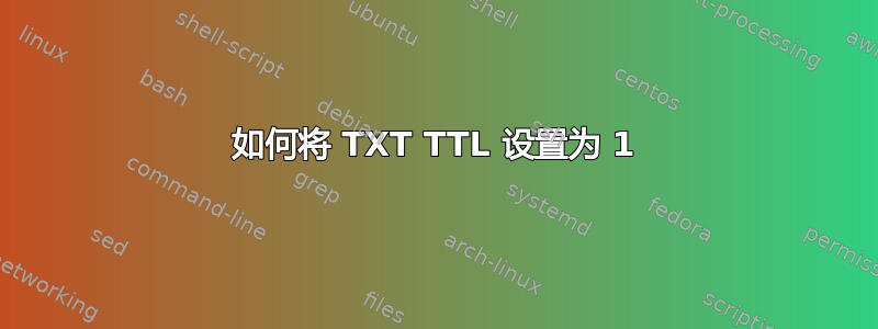 如何将 TXT TTL 设置为 1