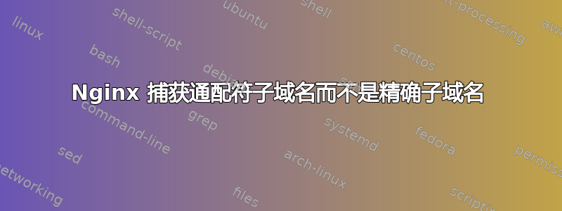 Nginx 捕获通配符子域名而不是精确子域名