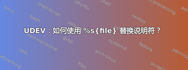 UDEV：如何使用 %s{file} 替换说明符？