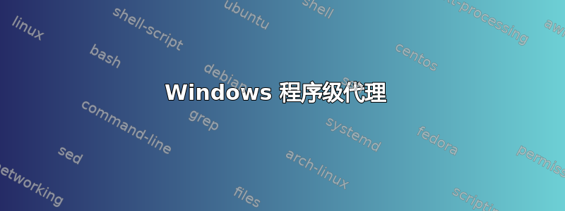 Windows 程序级代理 