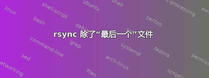 rsync 除了“最后一个”文件