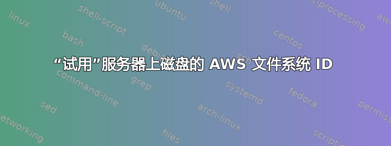 “试用”服务器上磁盘的 AWS 文件系统 ID