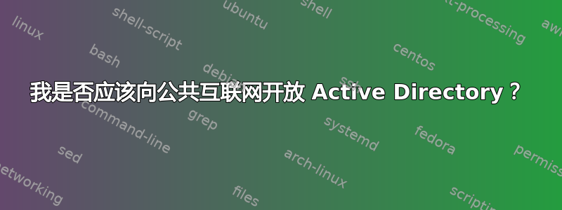 我是否应该向公共互联网开放 Active Directory？