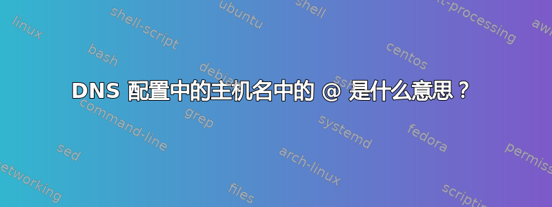 DNS 配置中的主机名中的 @ 是什么意思？