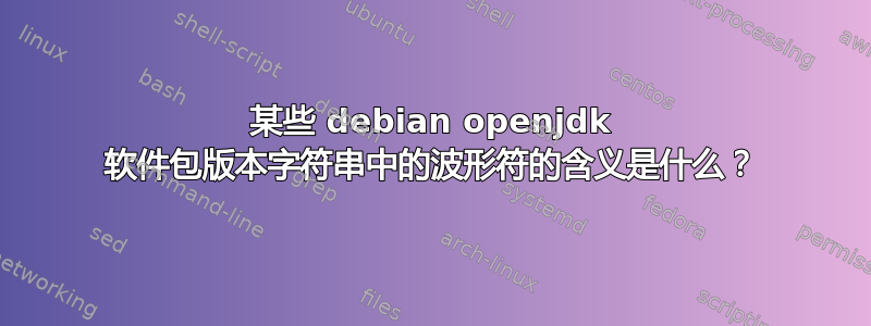 某些 debian openjdk 软件包版本字符串中的波形符的含义是什么？