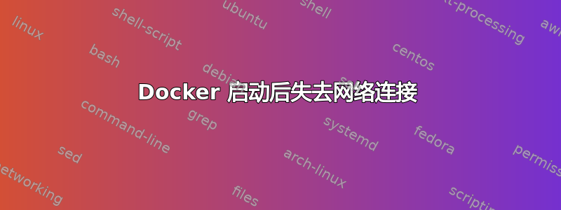 Docker 启动后失去网络连接