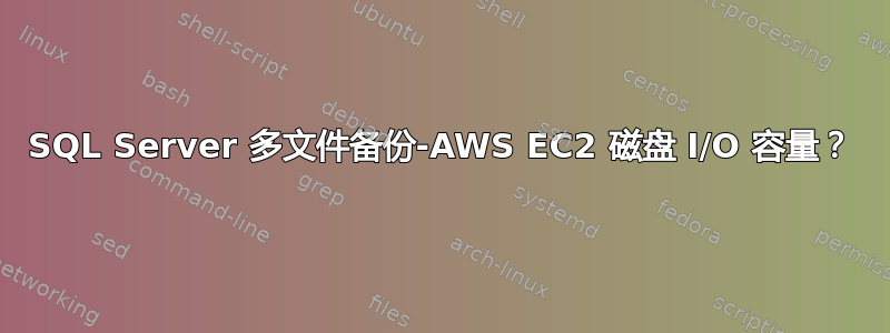 SQL Server 多文件备份-AWS EC2 磁盘 I/O 容量？