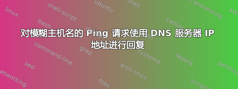 对模糊主机名的 Ping 请求使用 DNS 服务器 IP 地址进行回复