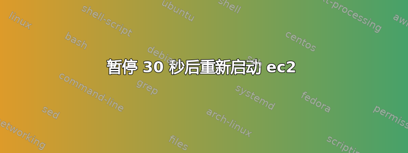 暂停 30 秒后重新启动 ec2