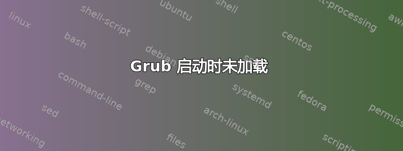 Grub 启动时未加载