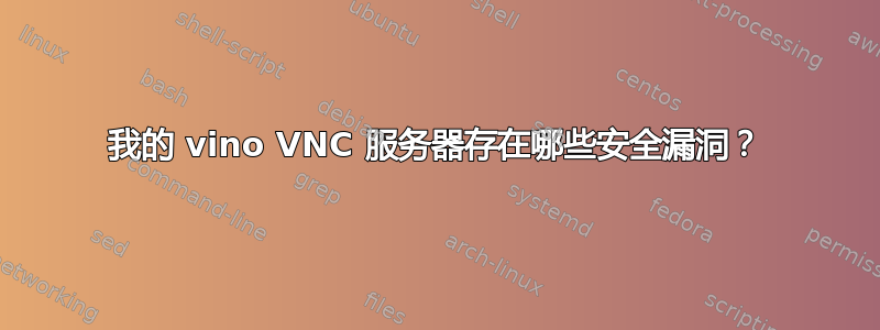 我的 vino VNC 服务器存在哪些安全漏洞？