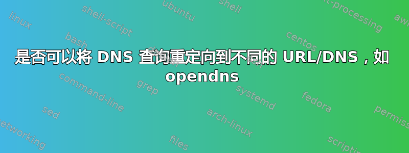 是否可以将 DNS 查询重定向到不同的 URL/DNS，如 opendns