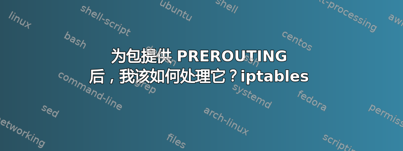 为包提供 PREROUTING 后，我该如何处理它？iptables