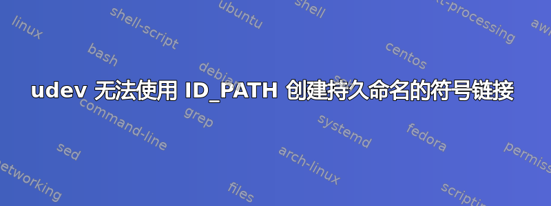 udev 无法使用 ID_PATH 创建持久命名的符号链接