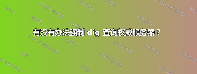 有没有办法强制 dig 查询权威服务器？