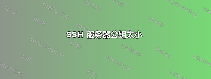 SSH 服务器公钥太小