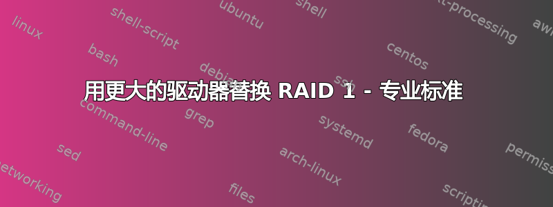 用更大的驱动器替换 RAID 1 - 专业标准