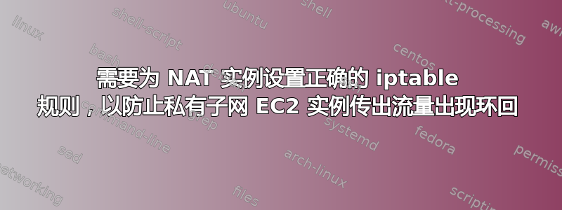 需要为 NAT 实例设置正确的 iptable 规则，以防止私有子网 EC2 实例传出流量出现环回