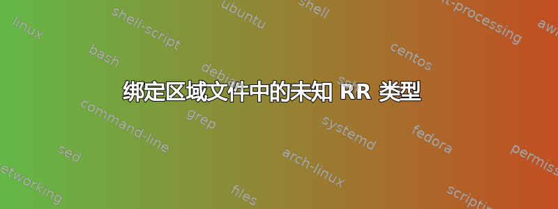 绑定区域文件中的未知 RR 类型 