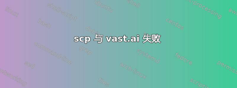 scp 与 vast.ai 失败