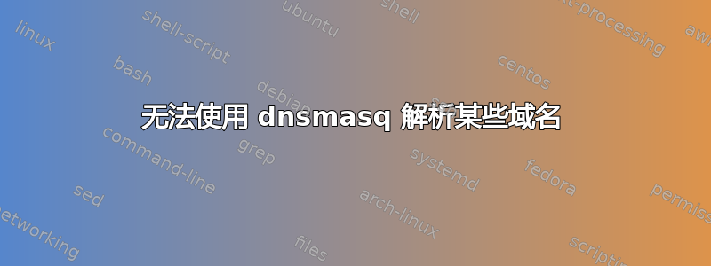 无法使用 dnsmasq 解析某些域名