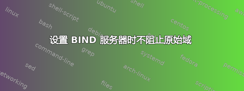 设置 BIND 服务器时不阻止原始域