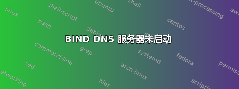 BIND DNS 服务器未启动