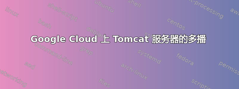 Google Cloud 上 Tomcat 服务器的多播