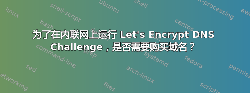 为了在内联网上运行 Let's Encrypt DNS Challenge，是否需要购买域名？