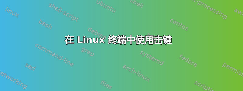 在 Linux 终端中使用击键 