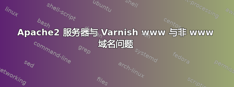 Apache2 服务器与 Varnish www 与非 www 域名问题