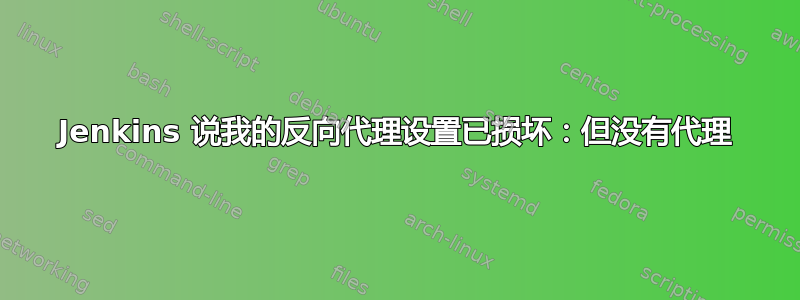 Jenkins 说我的反向代理设置已损坏：但没有代理